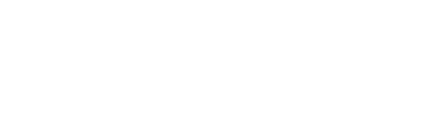 SPRINT